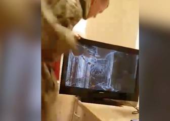 Video gamer goes utterly berserk, breaks TV screen