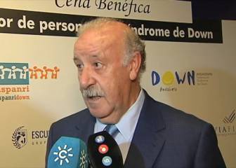 Del Bosque avala el fichaje de Ceballos por el Real Madrid