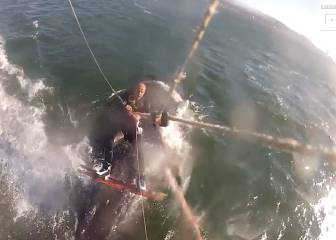 Kitesurfer has close encounter with 15-metre whale