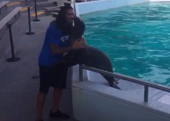 Adams, como un niño pequeño en el zoo: ¡abrazó a un león marino!