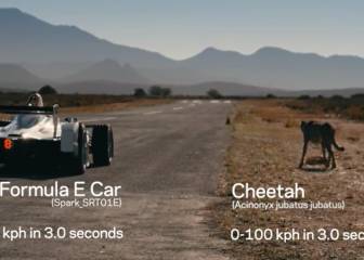 Formula E fights it out with cheetah: who wins?