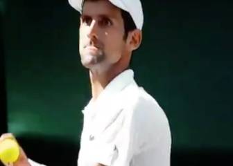 ¡Djokovic amagó con tirarle la bola a la cara al juez de silla!