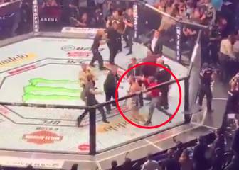 El vídeo que no se ha visto: 2 amigos de Khabib saltaron a la jaula y pegaron a McGregor