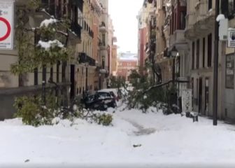 Árboles y cornisas se suman a la amenaza de la nieve en Madrid