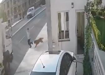 Imágenes muy duras: un perro ladra y provoca que un camión atropelle a un hombre