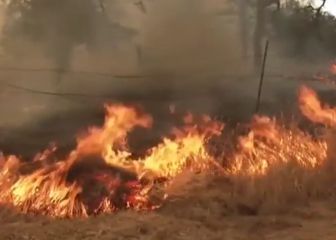 Incendios de California: 37.000 hectáreas han quedado calcinadas