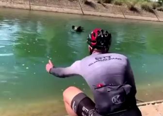 Un jabalí ataca a un ciclista que lo quizo salvar del agua