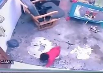 Un gato se hace viral tras salvar la vida de un bebé que iba a caer escaleras abajo