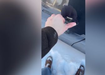 La petición viral de un usuario de Tesla a Elon Musk por un fallo en el coche